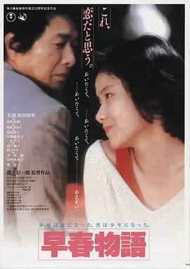 烈焰重生电影海报